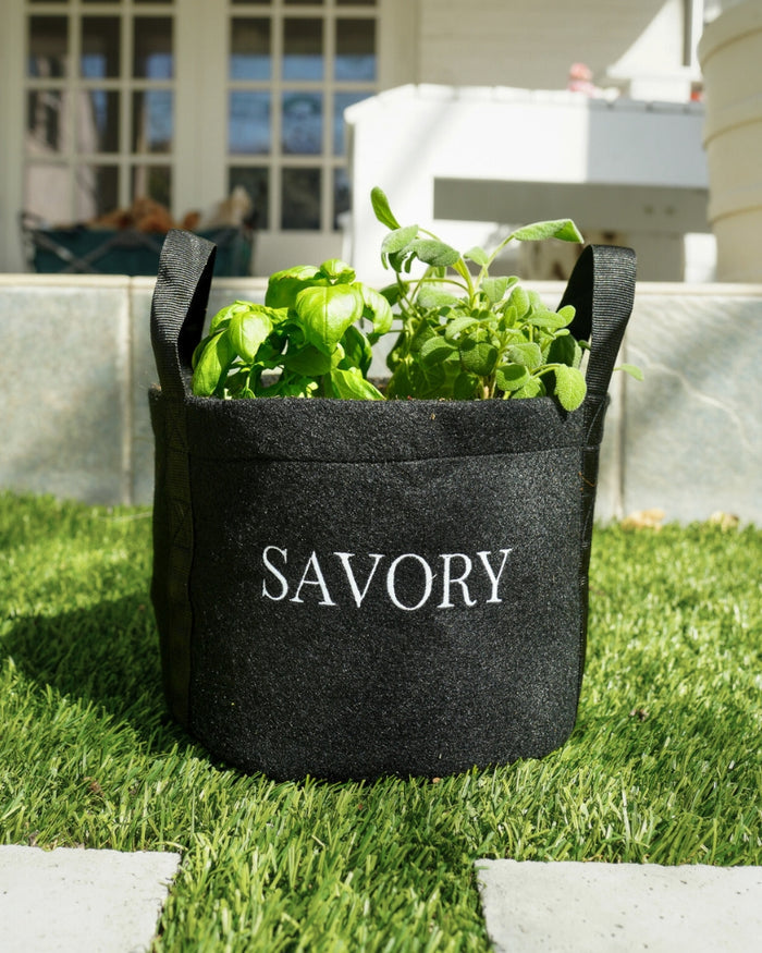 Savory Mini Patio Garden Kit