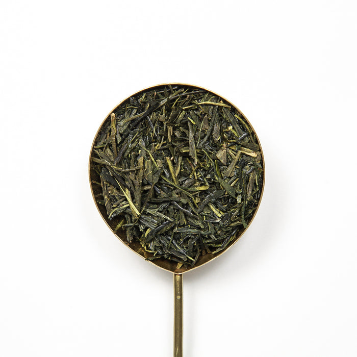 Sencha Asanoka