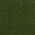 Hampton Artificial Grass