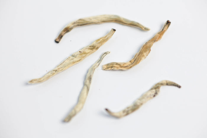 Silver Needle White Puerh Tea Cake