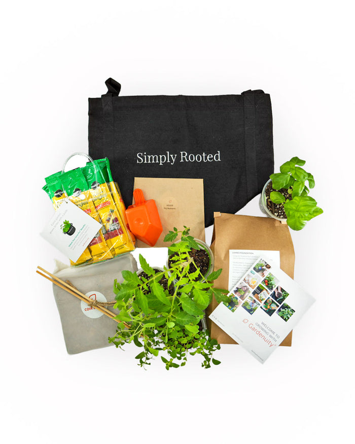 Simply Rooted Patio Garden Kit‎ with seasonal vegetable + herb plants
