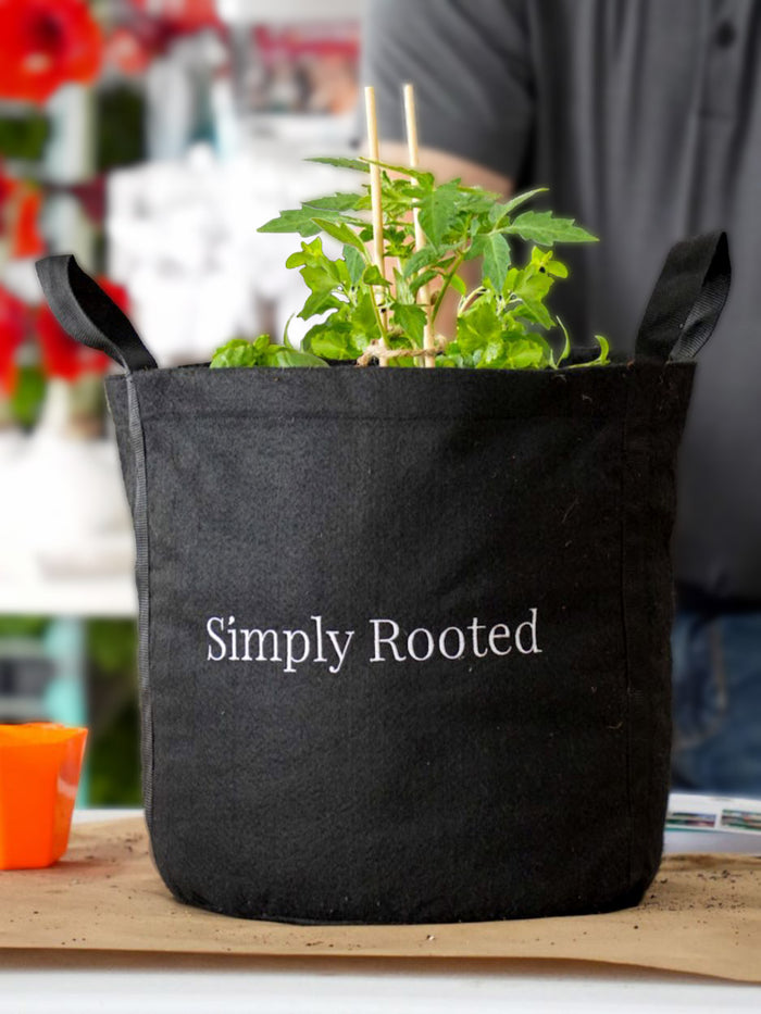 Simply Rooted Patio Garden Kit‎ with seasonal vegetable + herb plants
