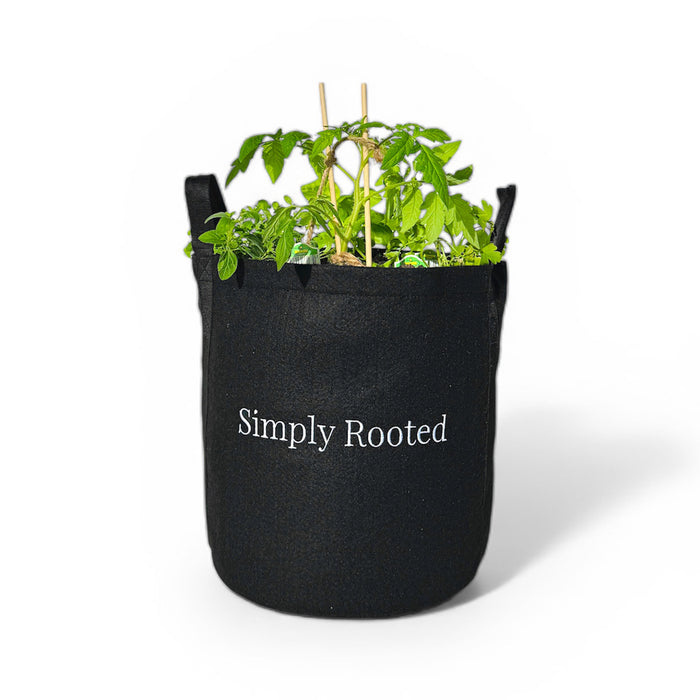 Simply Rooted Patio Garden Kit‎ with seasonal vegetable + herb plants