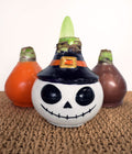 Skeleton Waxed Amaryllis Collector's Bulb‎ with sovereign blooms