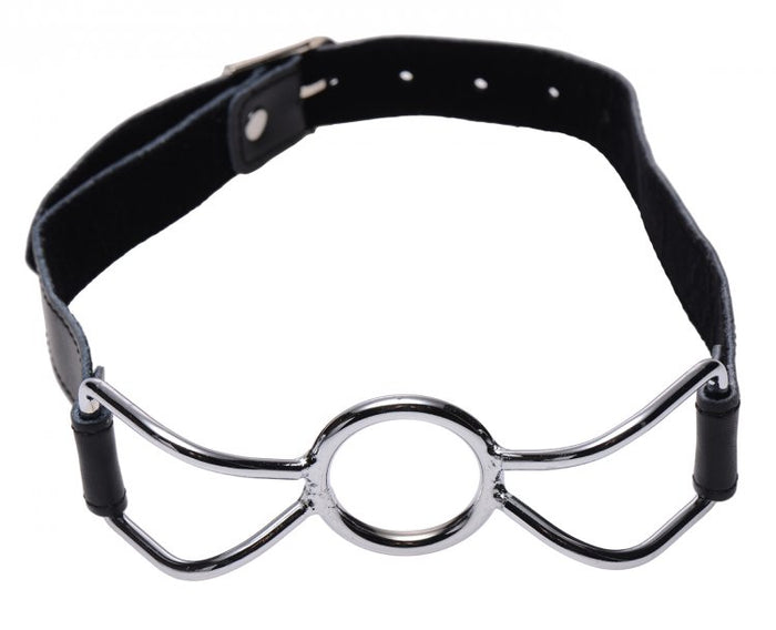 Spider Mouth Gag Image 2