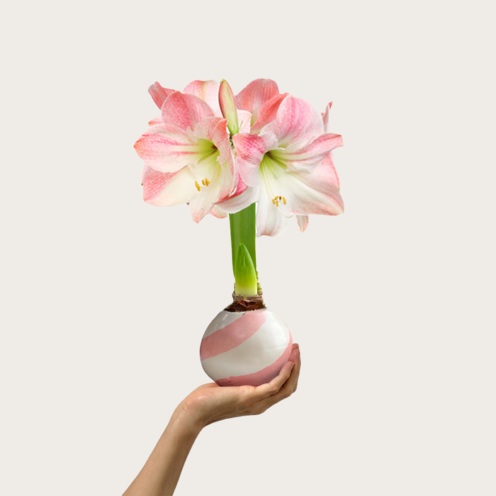 pink-white-swirl