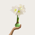 mint-green