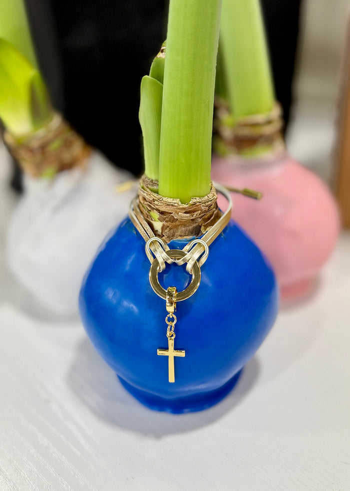 Springtime Blue Waxed Amaryllis Bulb‎ with white blooms