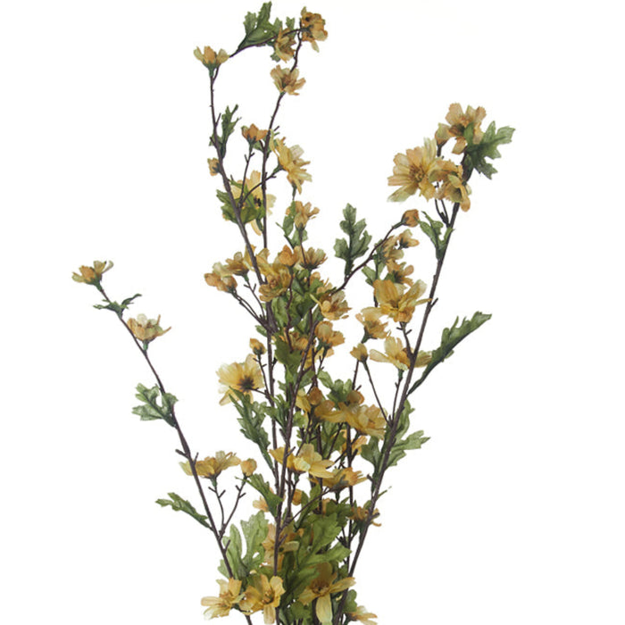 Sunflower Stem