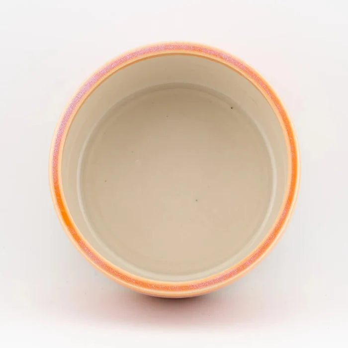 Sunrise Pet Bowl
