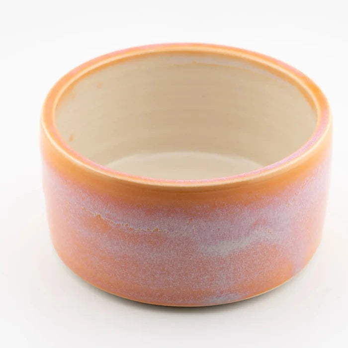Sunrise Pet Bowl