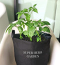 Super Hero Garden Kit‎ with pepper + herb plants
