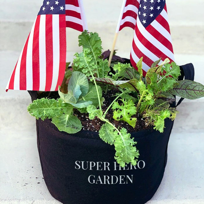 Super Hero Garden Kit‎ with pepper + herb plants