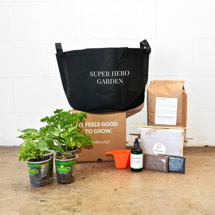 Super Hero Giftable Garden