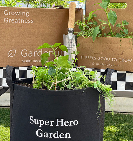 Super Hero Giftable Garden