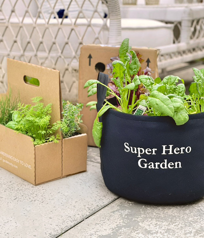Super Hero Giftable Garden