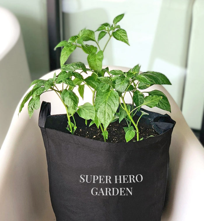 Super Hero Giftable Garden