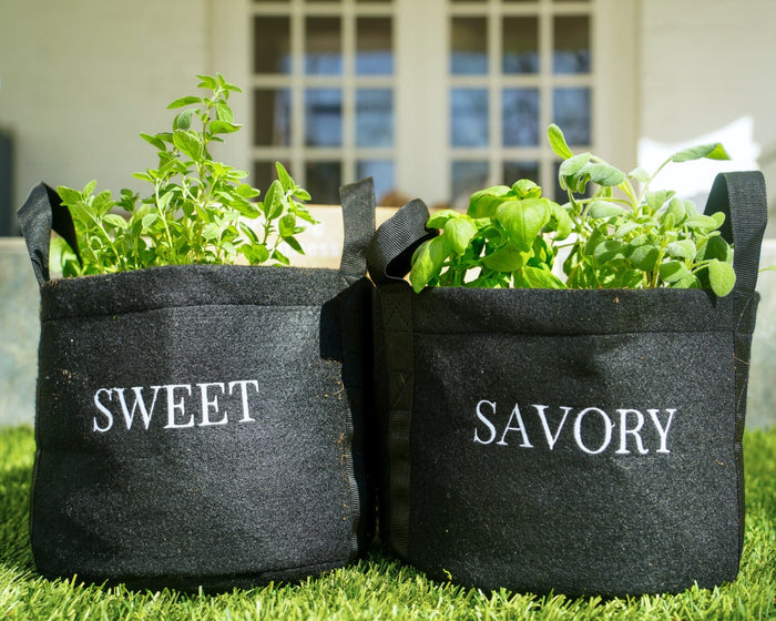 Sweet & Savory Mini Patio Garden Kits‎ The Set