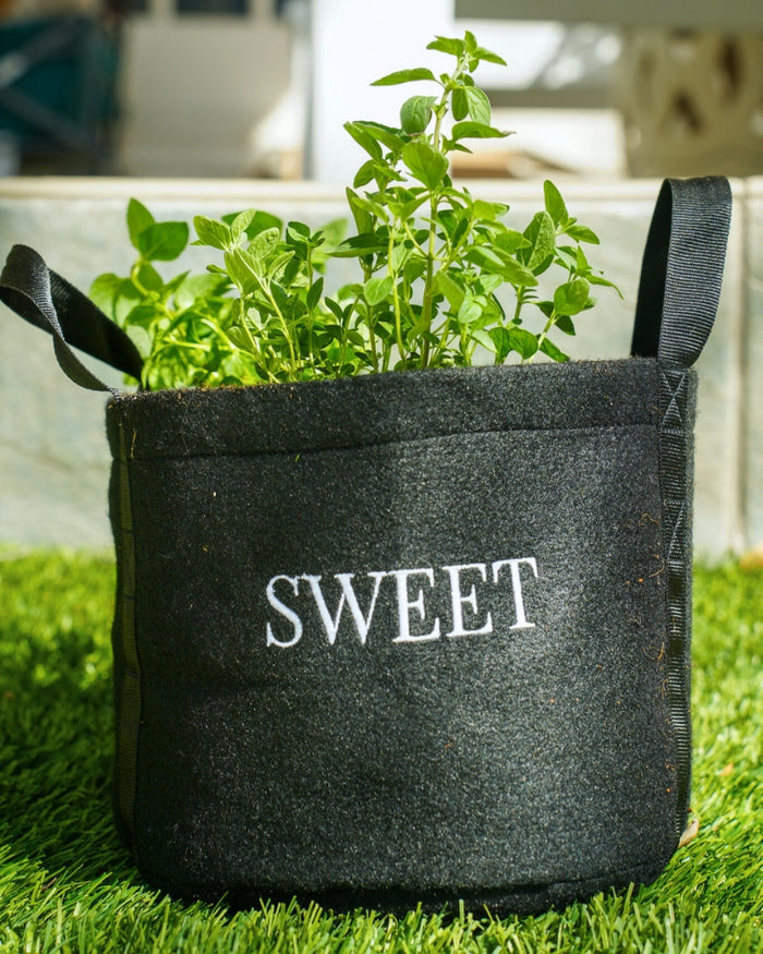 Sweet & Savory Mini Patio Garden Kits‎ The Set