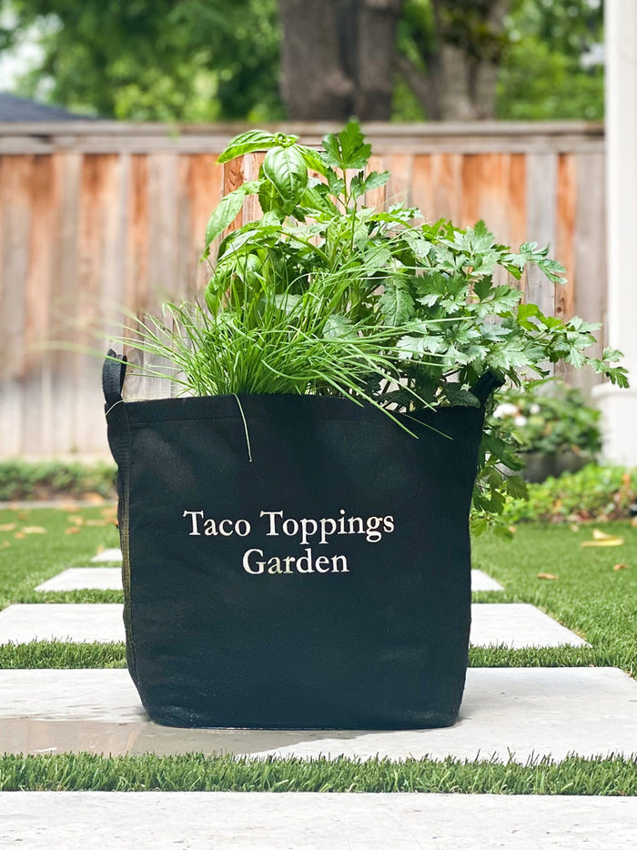 Taco Toppings Garden Kit‎ with tomato plant + herbs