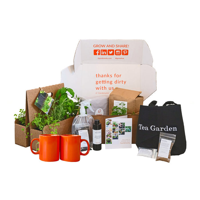 Tea Garden Gift Set‎ with Tea Brewer Mugs
