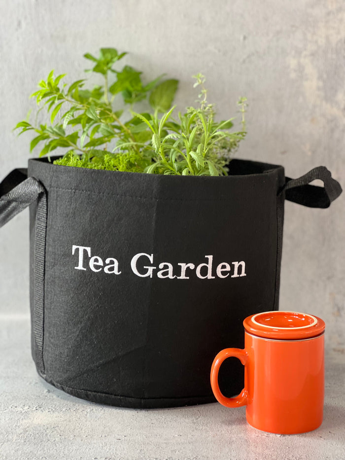 Tea Garden Gift Set‎ with Tea Brewer Mugs