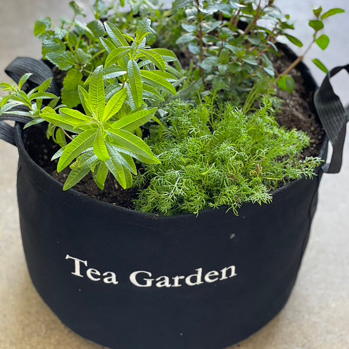 Tea Giftable Garden