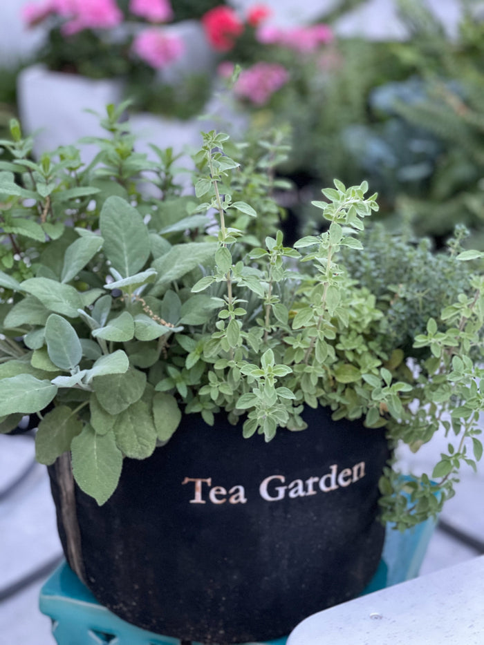 Tea Giftable Garden