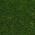 Teasel 38 Artificial Grass