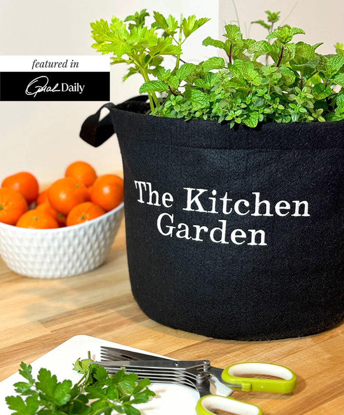 The Kitchen Garden Kit‎ with culinary herbs + weekly recipes