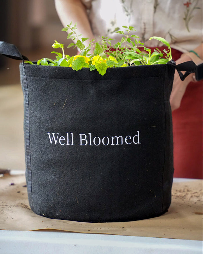The Well Bloomed Garden Kit‎ with edible flowers + herb plants