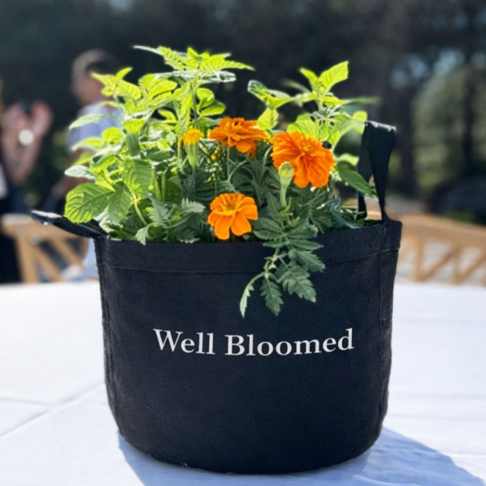 The Well Bloomed Garden Kit‎ with edible flowers + herb plants