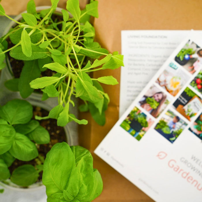 The Well Bloomed Garden Kit‎ with edible flowers + herb plants