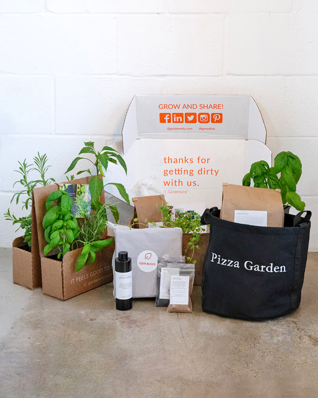 Tomato Garden Kit