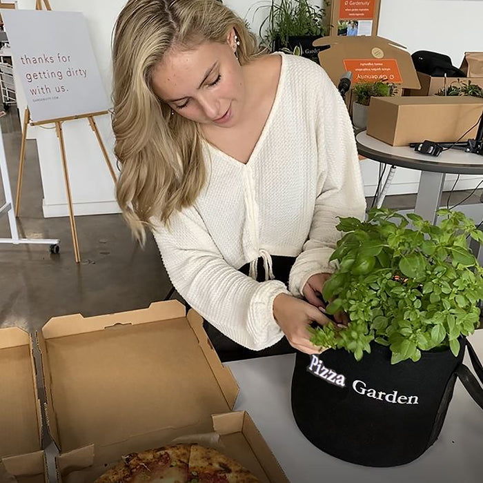 Tomato Garden Kit