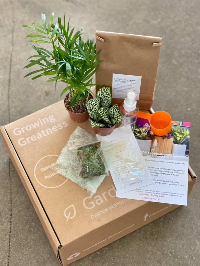 Tropical Desktop Garden Refresh Kit