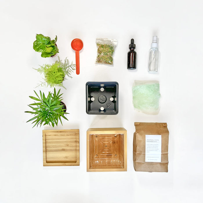 Tropical Desktop Garden