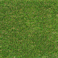 4m