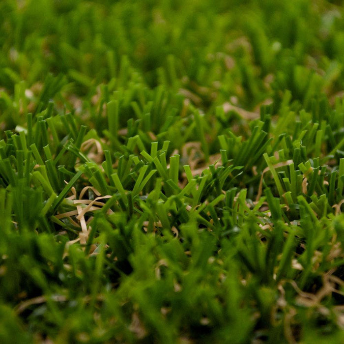 Angelica 30 Artificial Grass