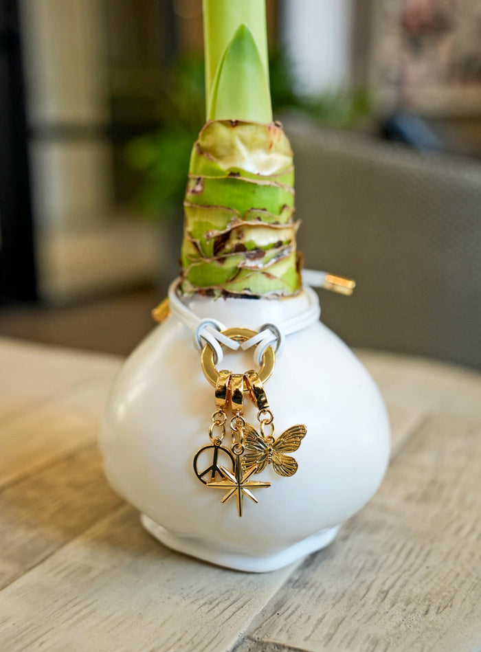 Winter White Waxed Bulb & Charm Bracelet Gift Set‎