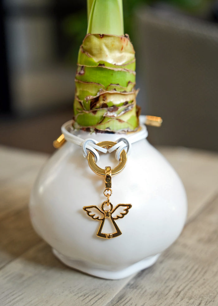 Winter White Waxed Bulb & Charm Bracelet Gift Set‎