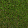 Wintergreen 40mm Artificial Grass