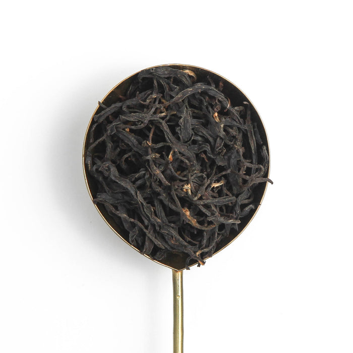 Xiaoye Black