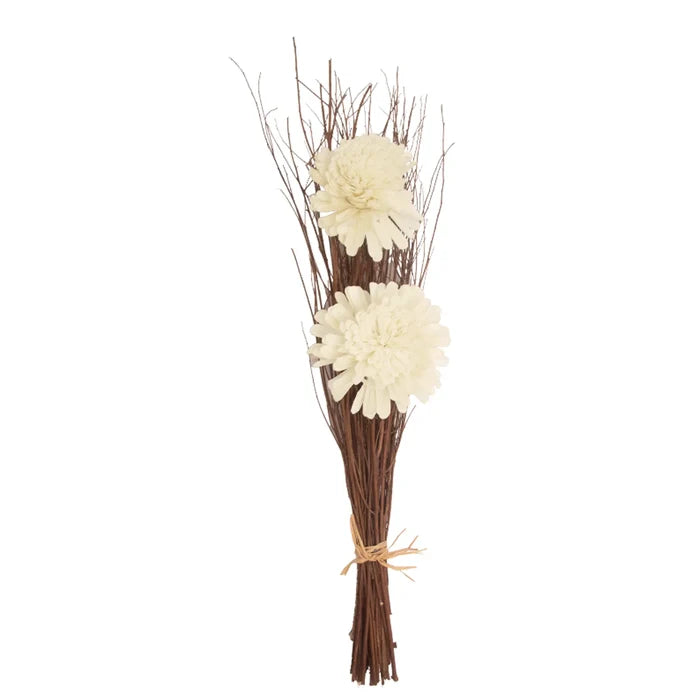 Zinia Brown Lady Bunch